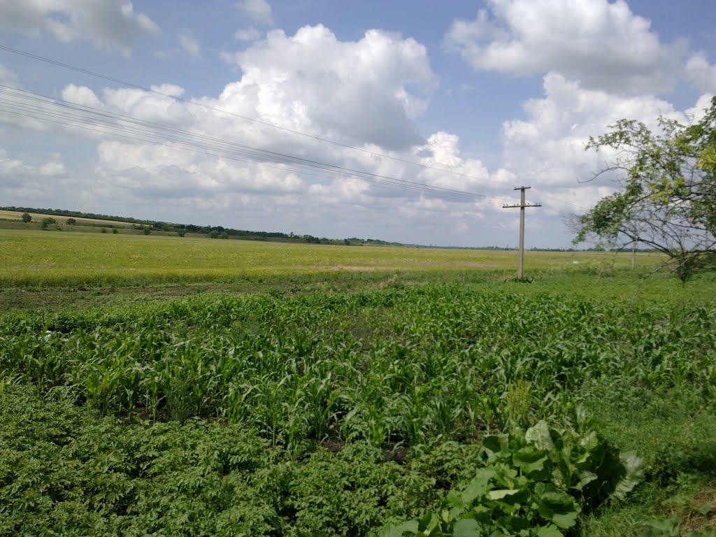 Широка Балка з panoramio.com - Широка Балка