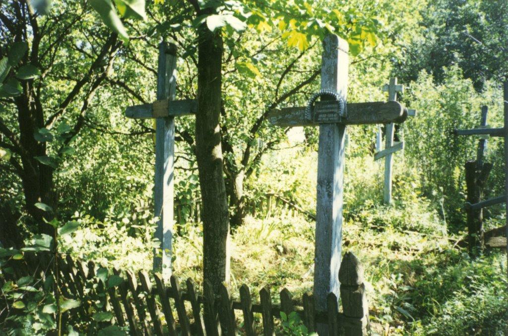 Пасат з panoramio.com - Пасат