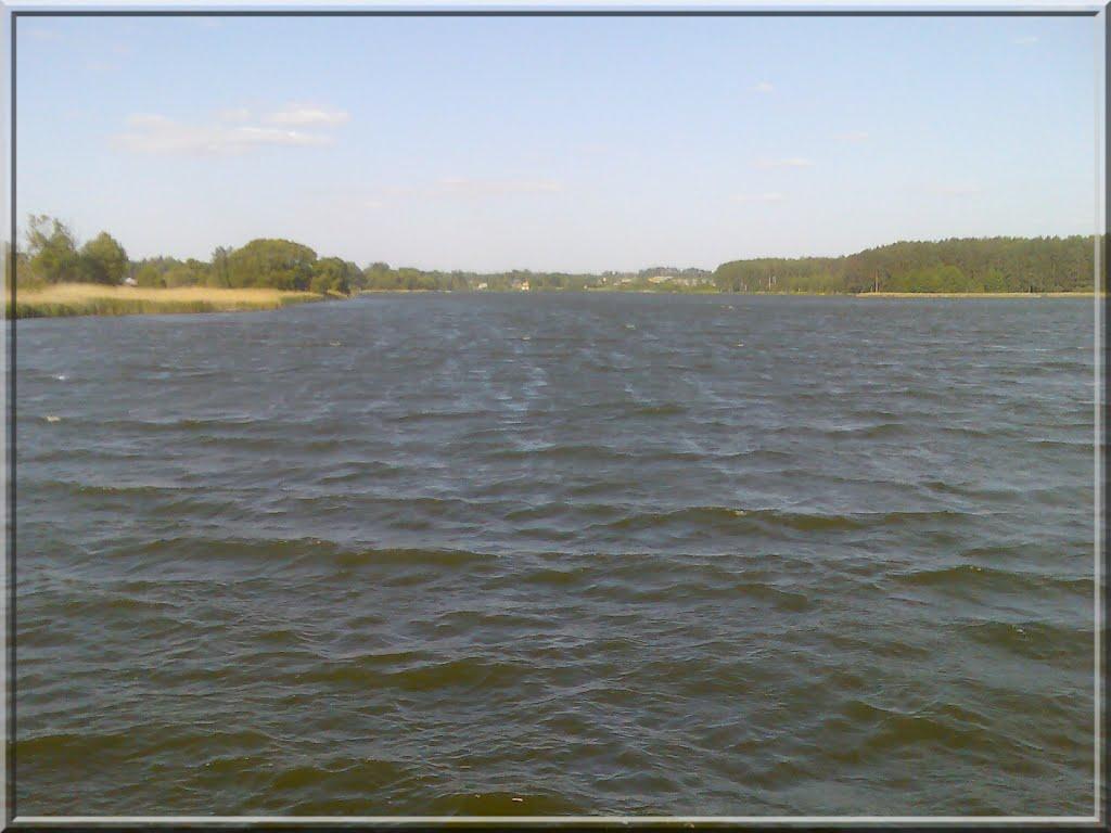 Дубовичі з panoramio.com - Дубовичі