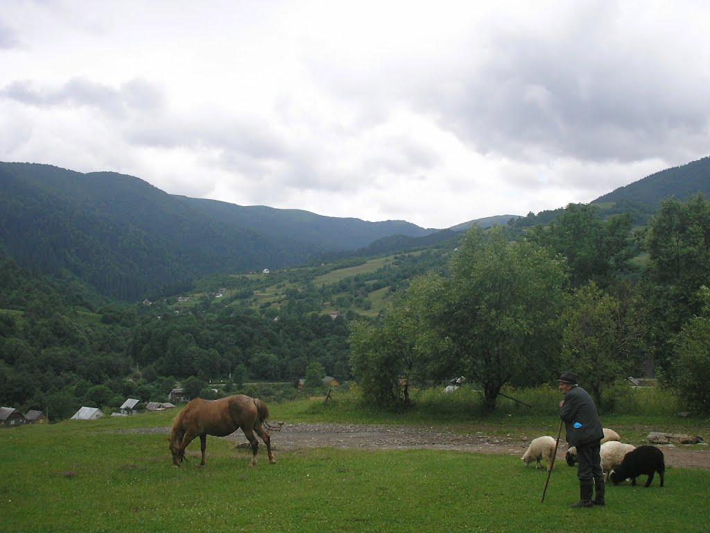 Кваси з panoramio.com - Kvasy