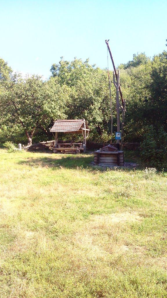Моринці з panoramio.com - Moryntsi