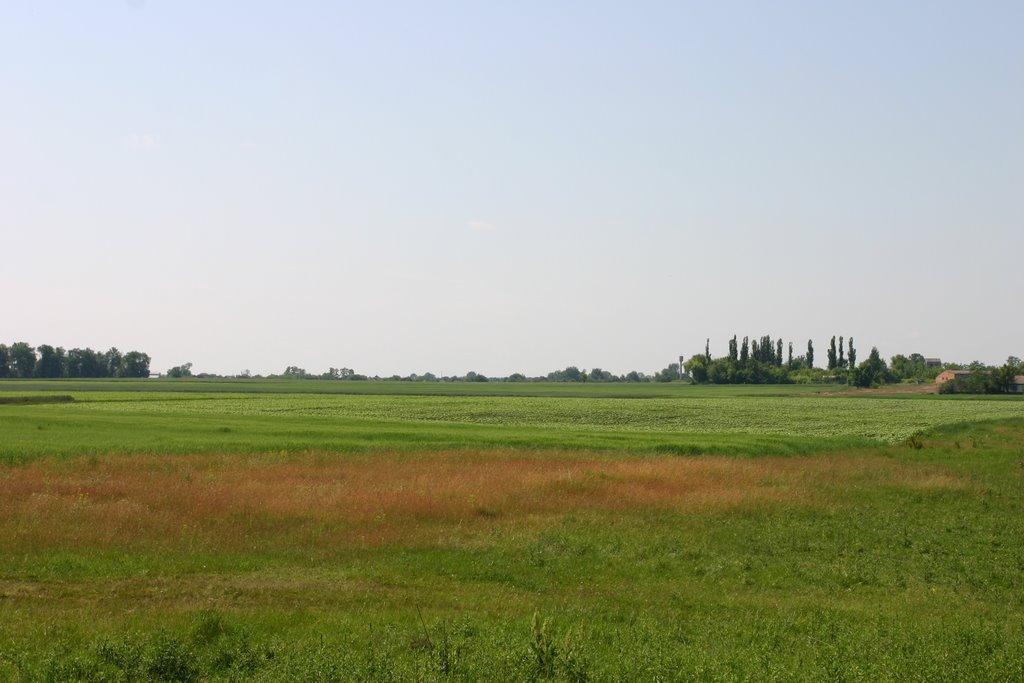 Короваї з panoramio.com - Короваї