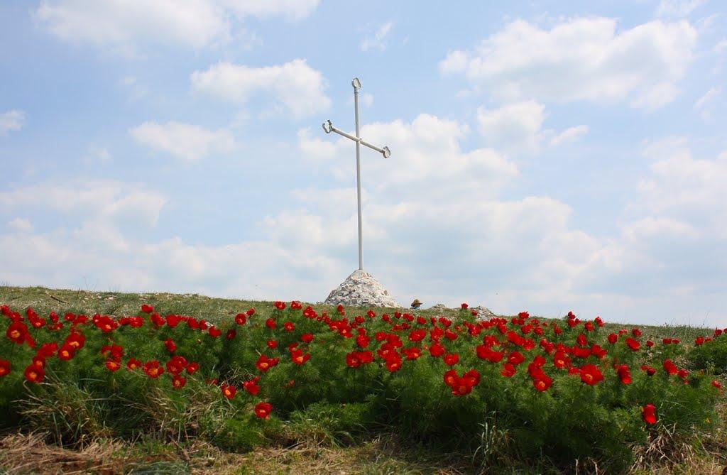 Багата Ущелина з panoramio.com - Bagata Uschelyna
