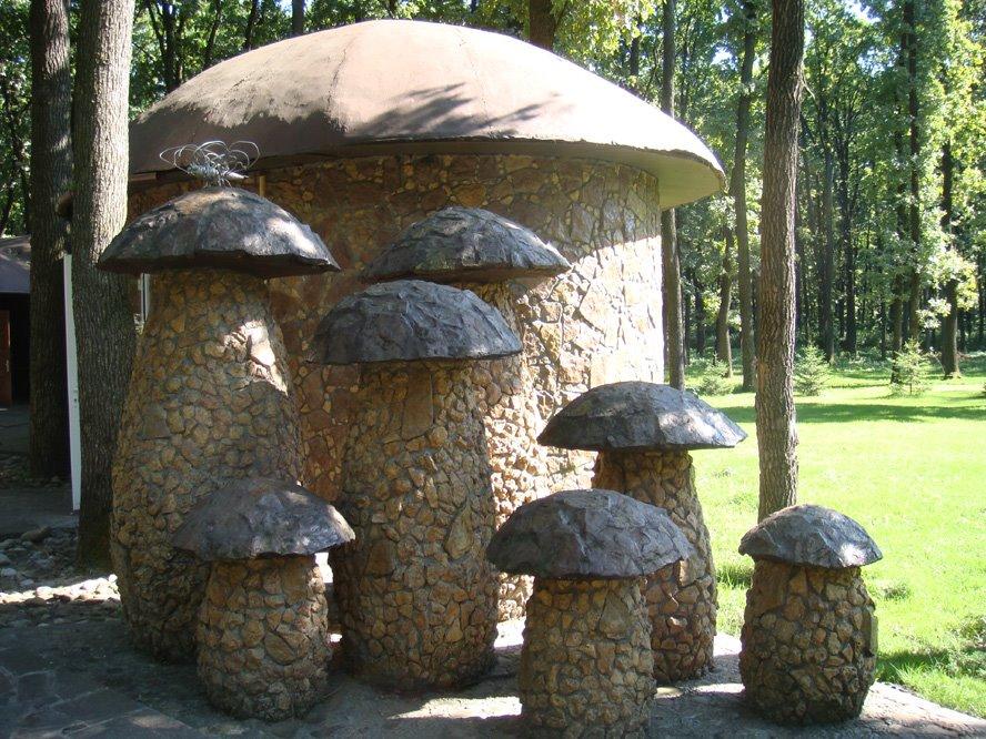 Бикова Гребля з panoramio.com - Bykova Greblya