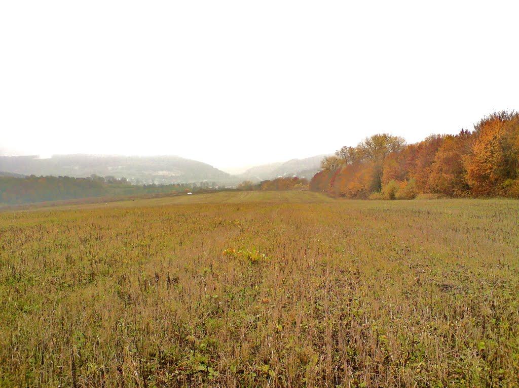 Куряни з panoramio.com - Куряны