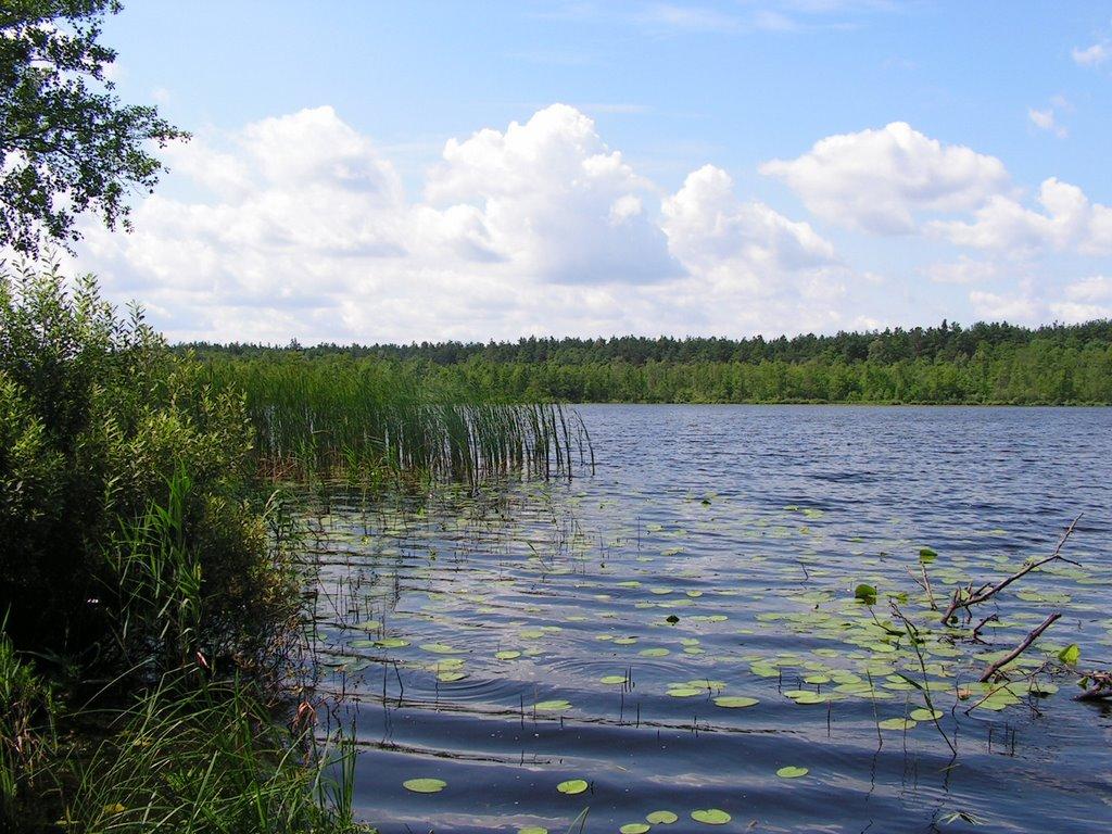 Забужжя з panoramio.com - Забужье