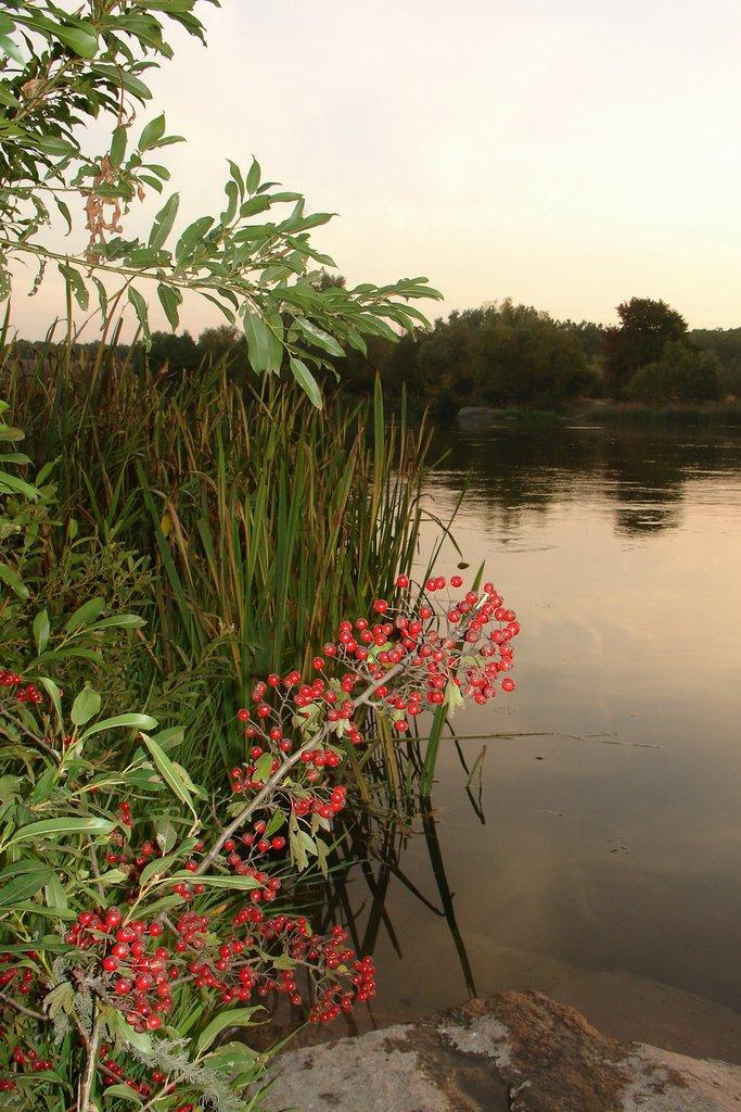 Мигія з panoramio.com - Mygiya