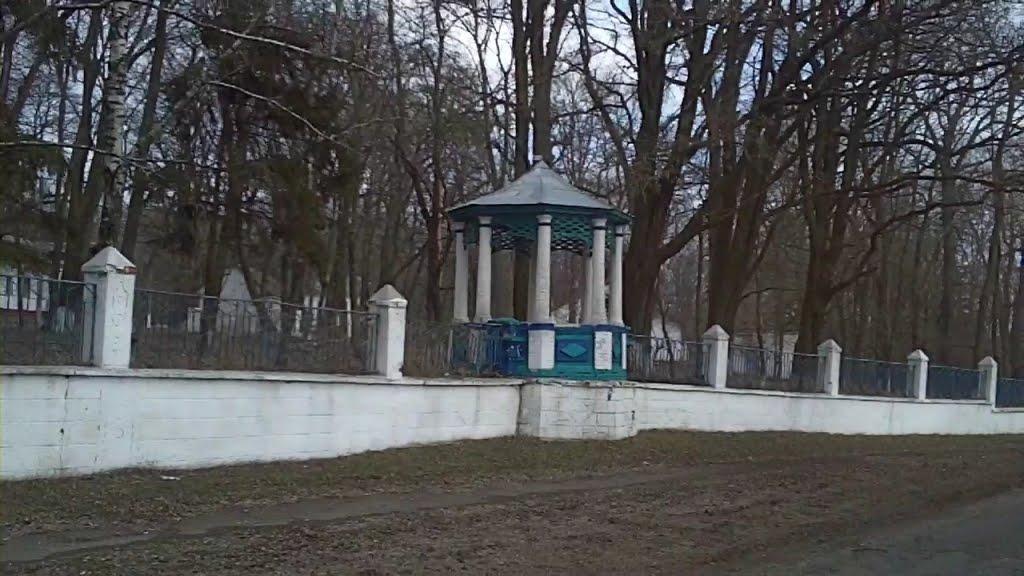Березова Рудка з panoramio.com - Березовая Рудка