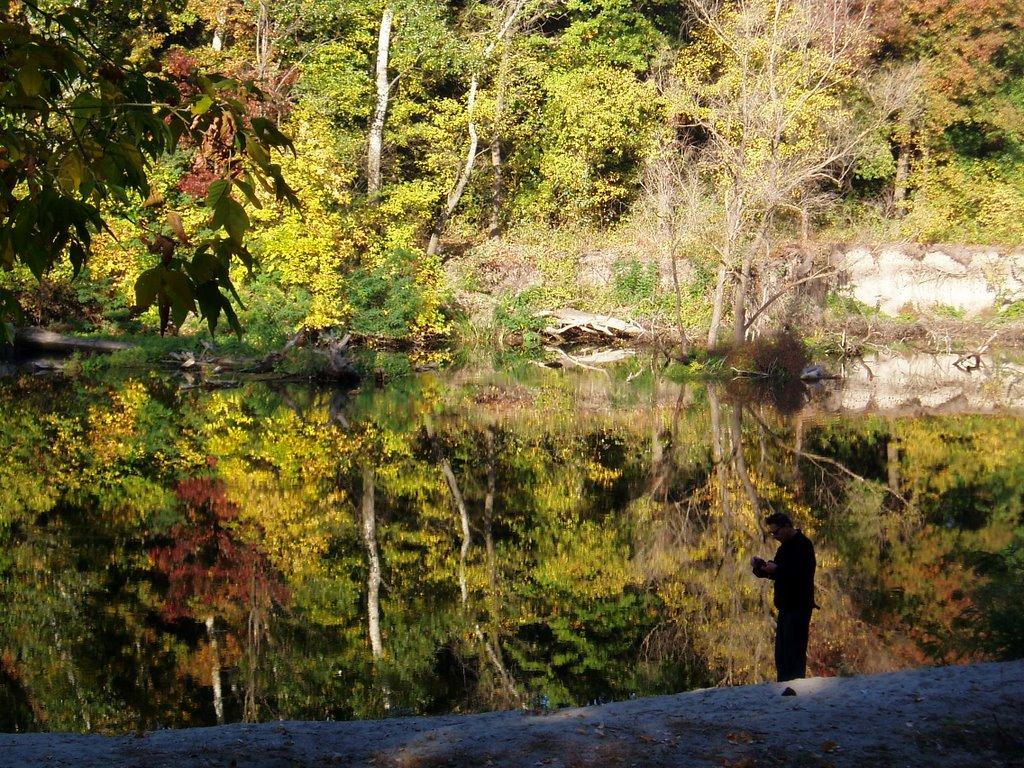 Кияшки з panoramio.com - Кияшки