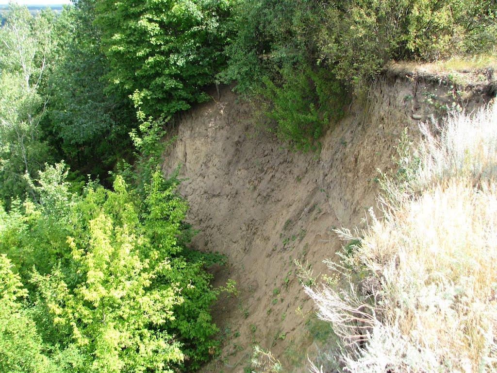 Кунівка з panoramio.com - Кунівка