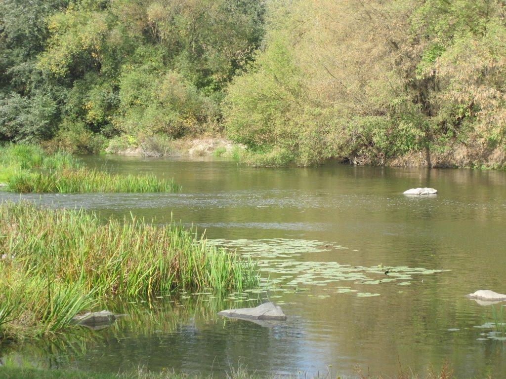 Мала Мечетня з panoramio.com - Мала Мечетня