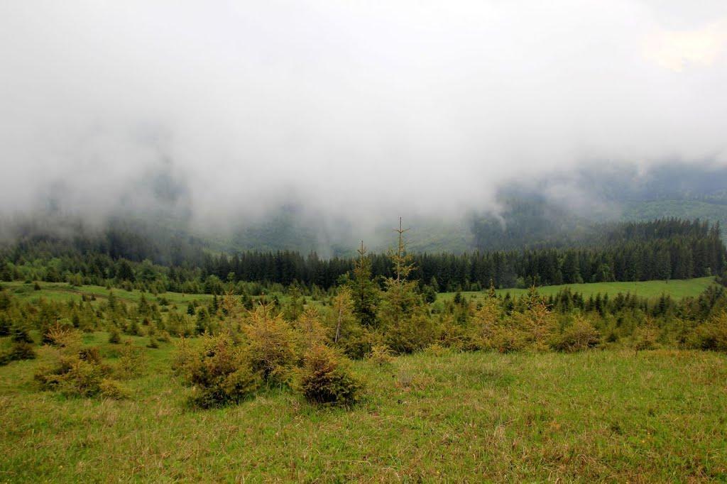 Долішній Шепіт з panoramio.com - Dolishniy Shepit