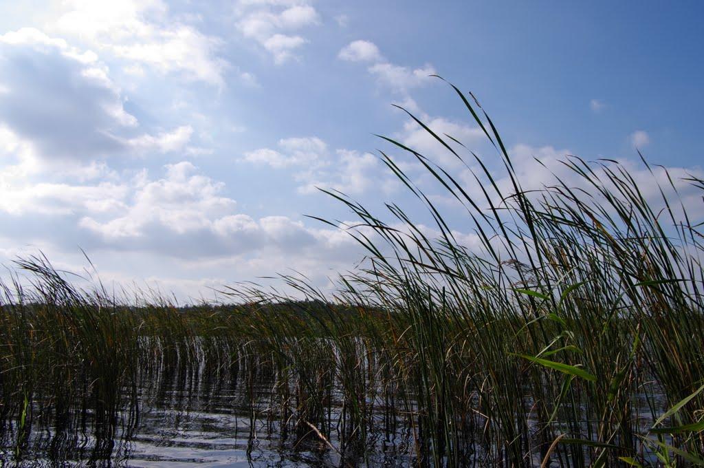 Забужжя з panoramio.com - Забужье