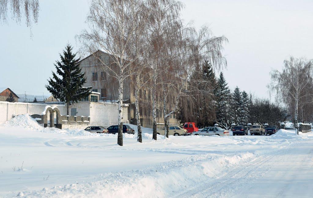 Старі Бабани з panoramio.com - Старые Бабаны