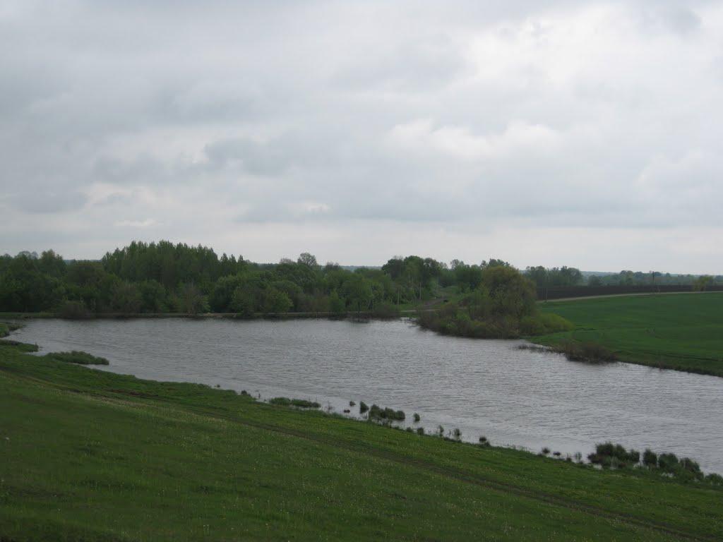Черепашинці з panoramio.com - Cherepashyntsi