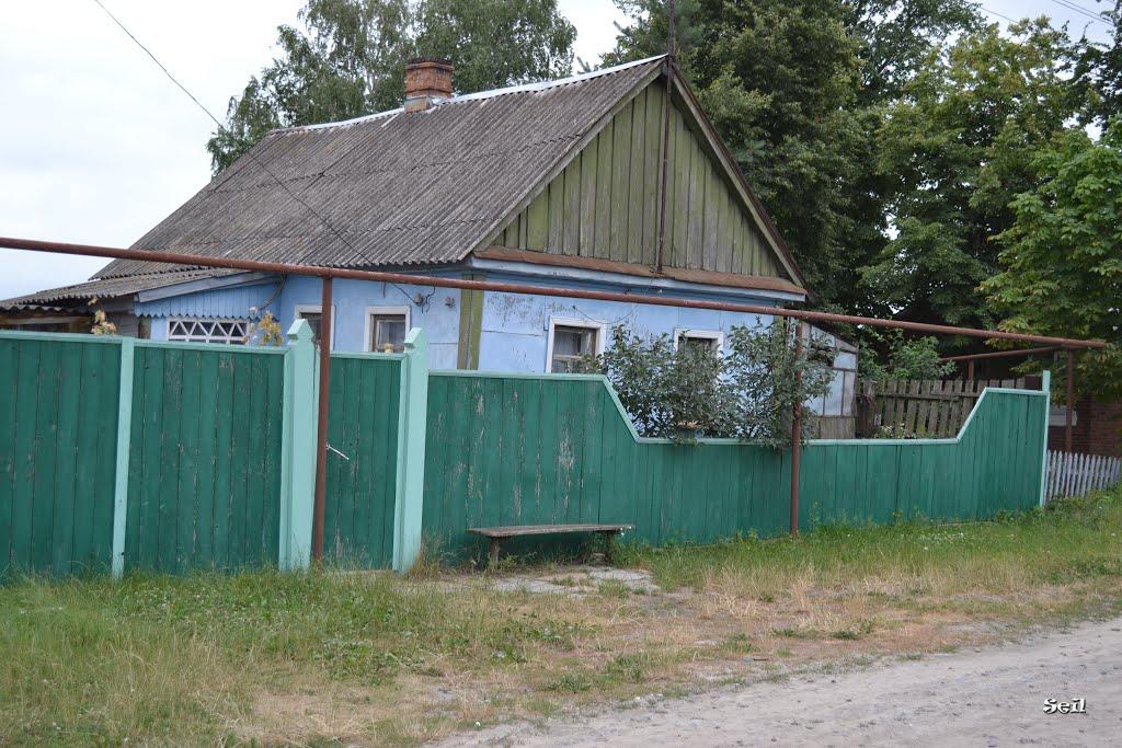 Бездрик з panoramio.com - Бездрик