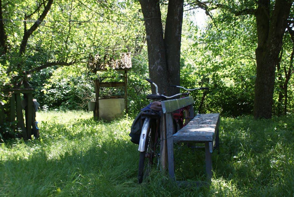 Кравчиха з panoramio.com - Кравчиха