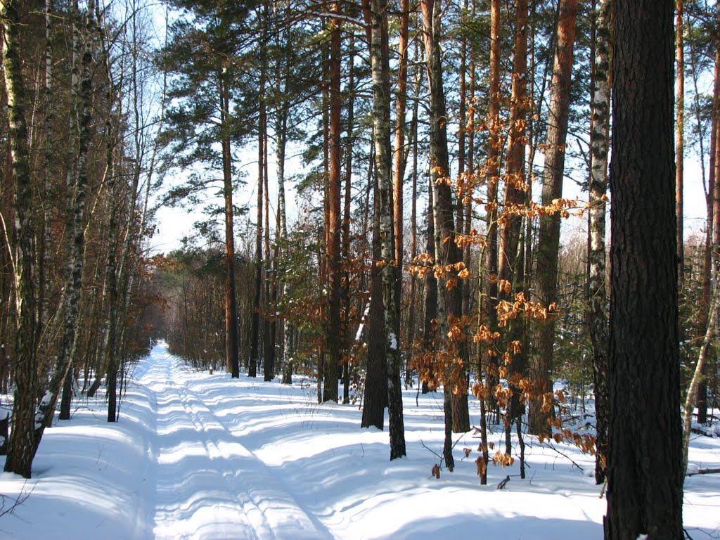 Славутич з panoramio.com - Slavutych