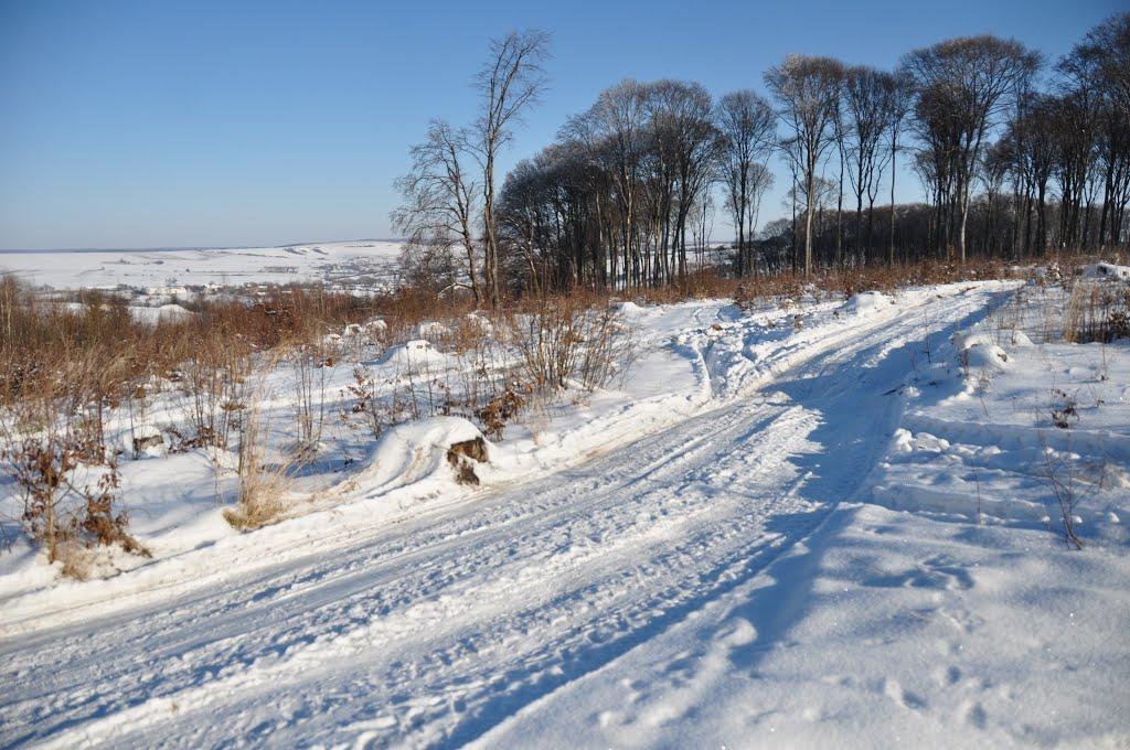 Глібовичі з panoramio.com - Глебовичи