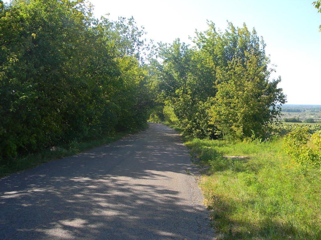 Бузуків з panoramio.com - Бузуків