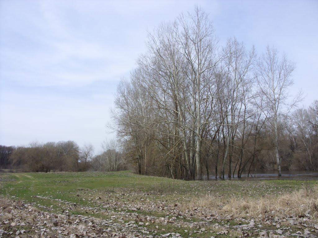 Юрки з panoramio.com - Юрки