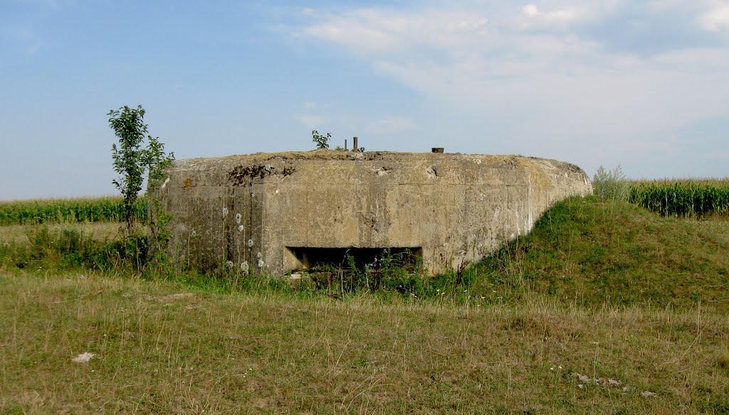 Думенки з panoramio.com - Dumenky