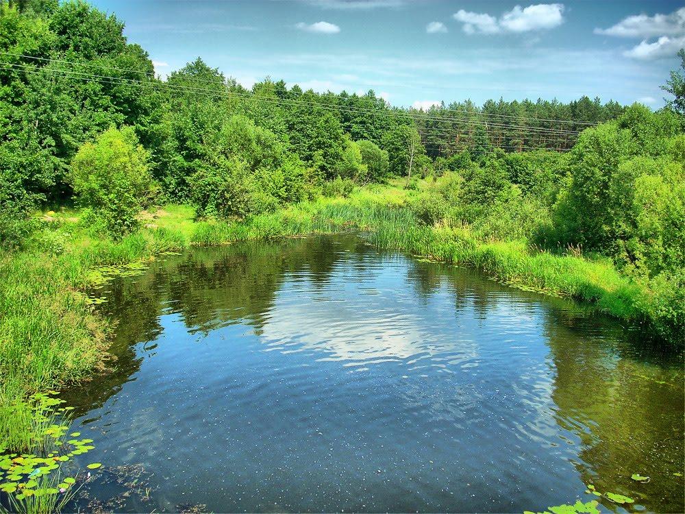 Поліське з panoramio.com - Поліське