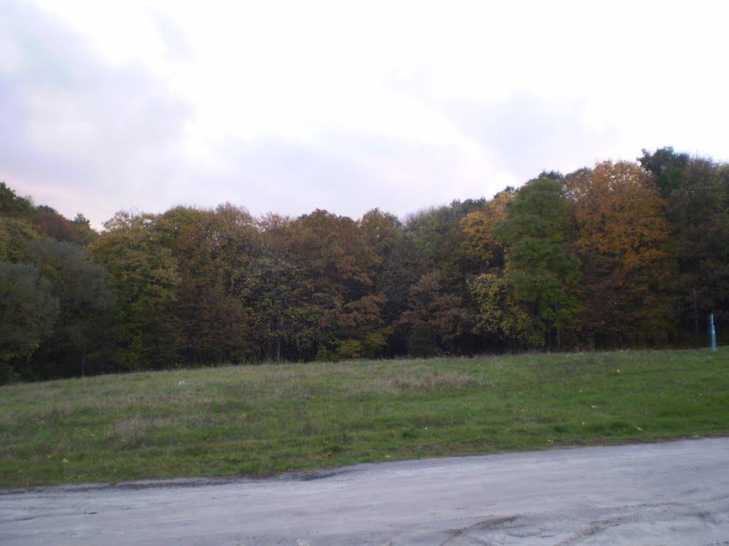 Біла з panoramio.com - Біла
