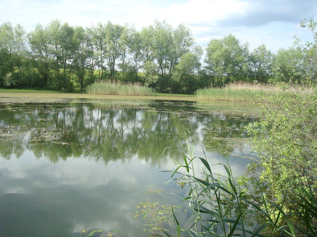 Ставчани з panoramio.com - Ставчаны
