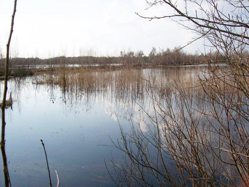 Шменьки з panoramio.com - Шменьки