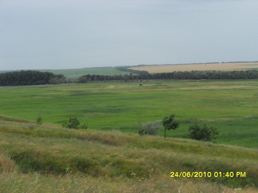 Василівка Перша з panoramio.com - Василівка Перша