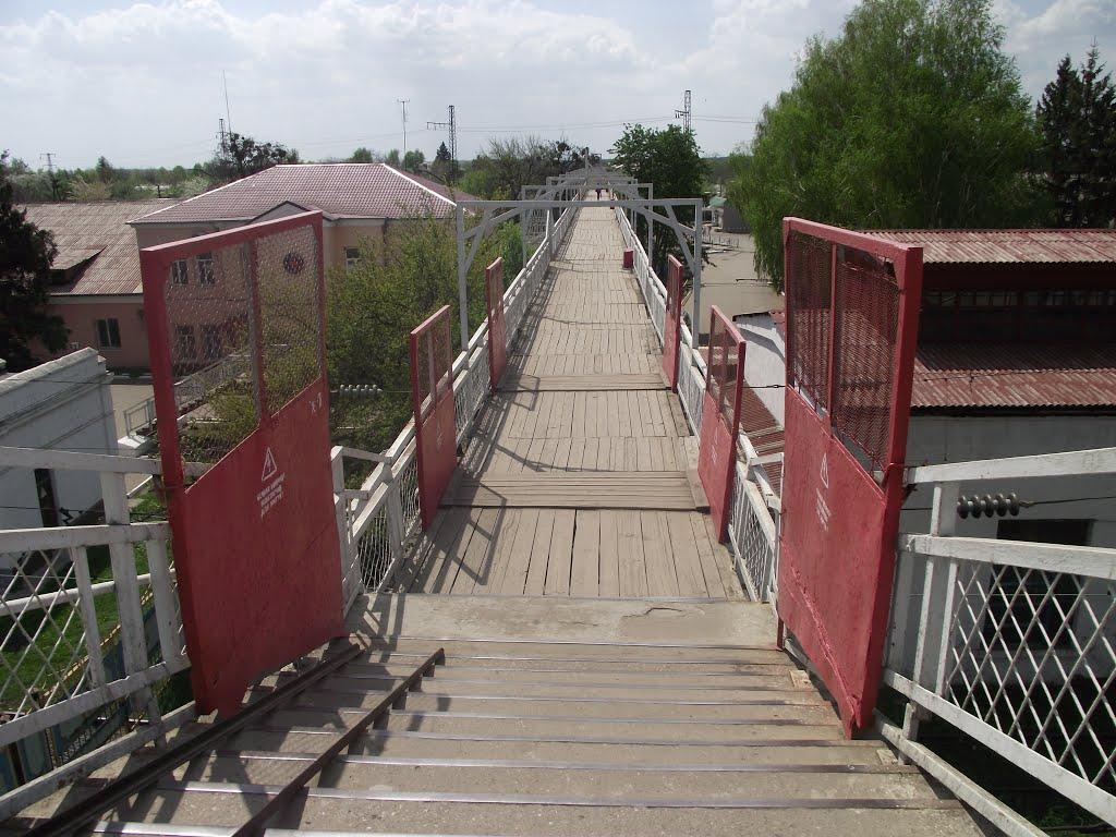 Знам'янка з panoramio.com - Знам'янка