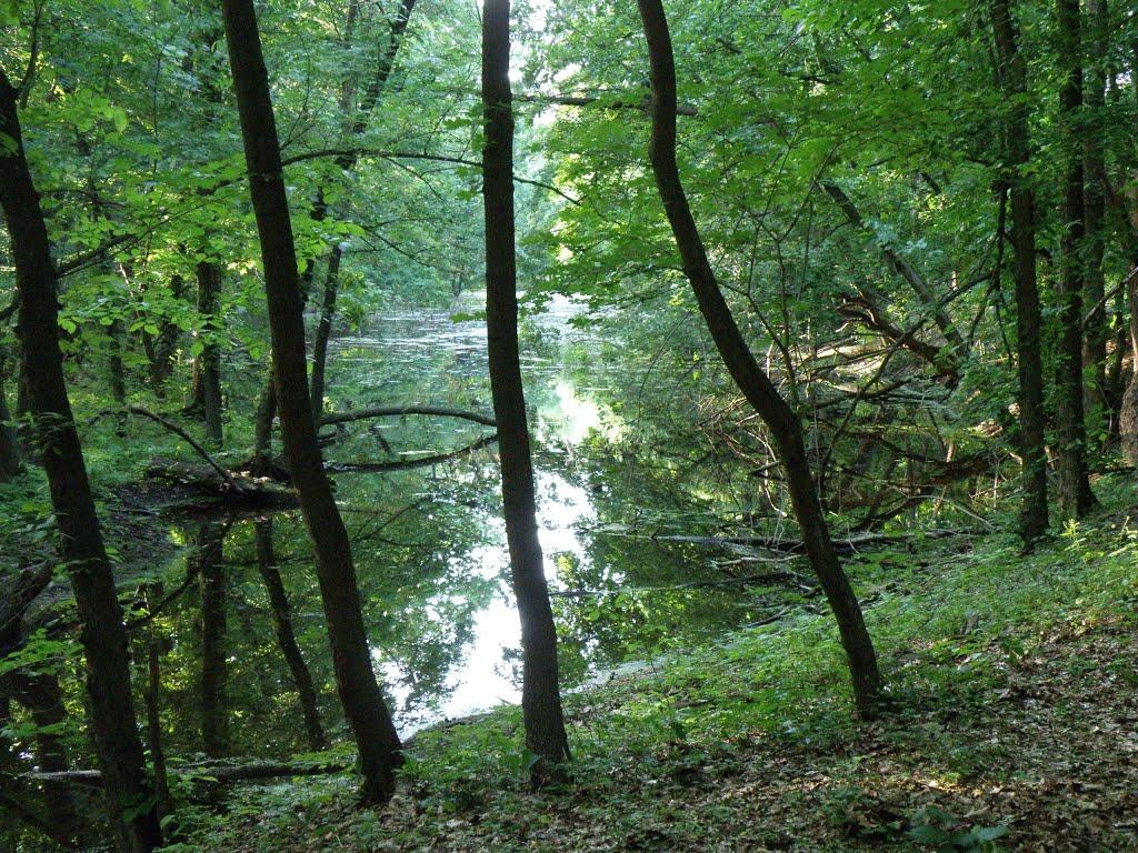 Рубіжне з panoramio.com - Рубежное