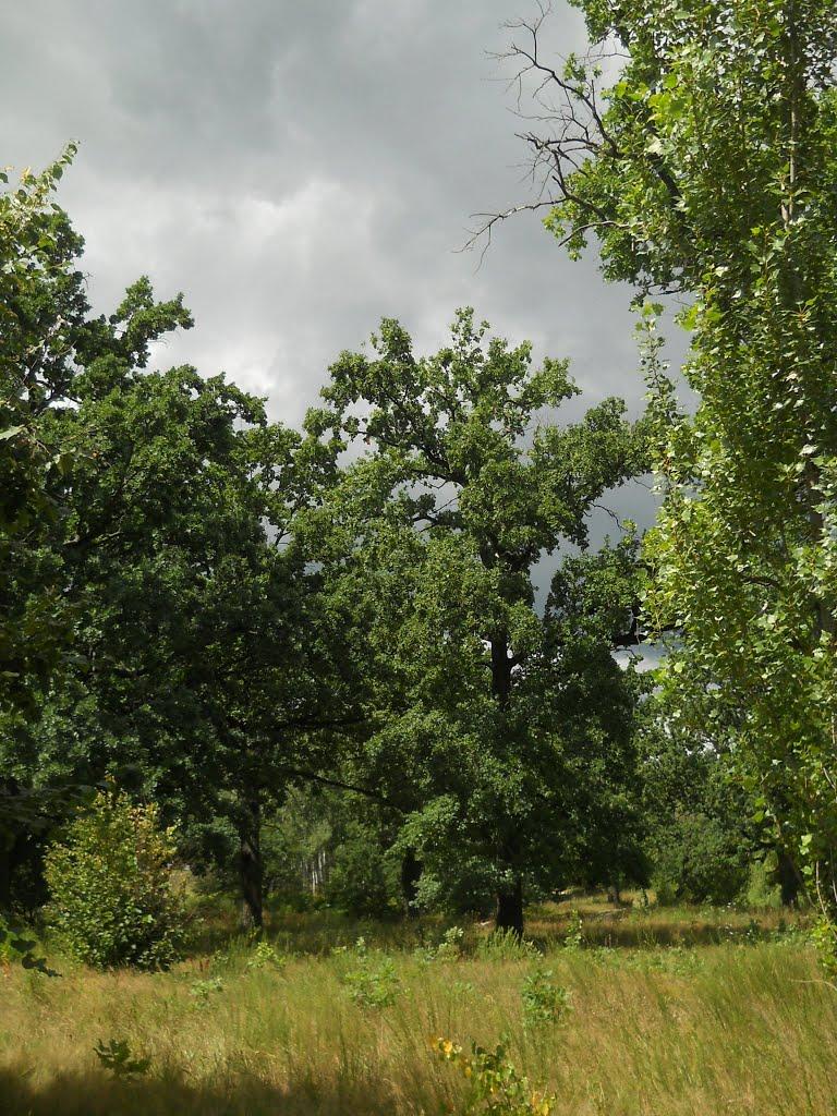 Чубинське з panoramio.com - Чубинское