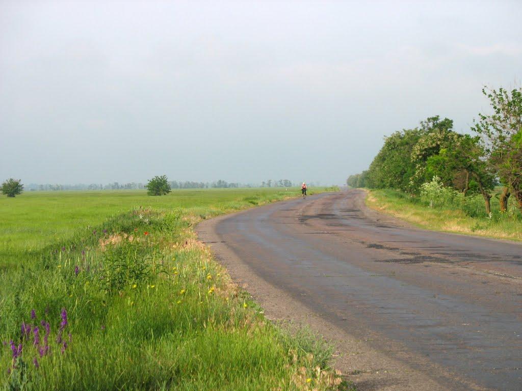 Чаплинка з panoramio.com - Чаплинка