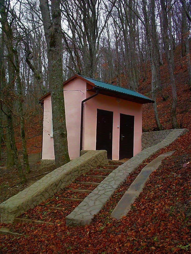 Розовий з panoramio.com (ч.2) - Розовий