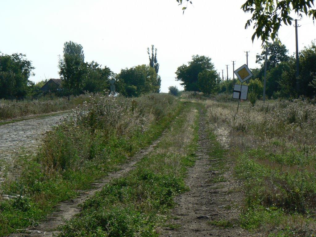 Світле з panoramio.com - Светлое