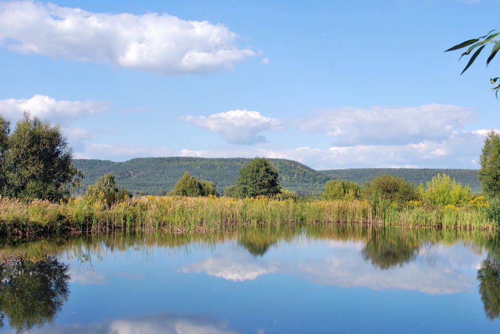 Антонівці з panoramio.com - Антоновцы