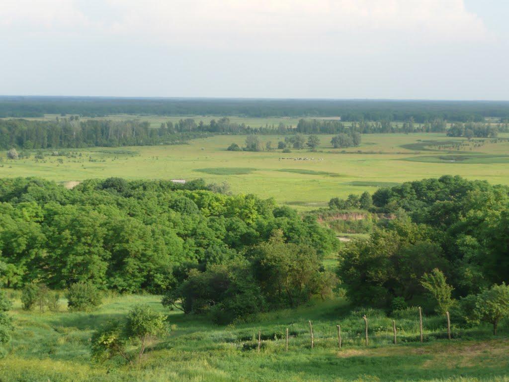 Старі Санжари з panoramio.com - Stari Sanzhary