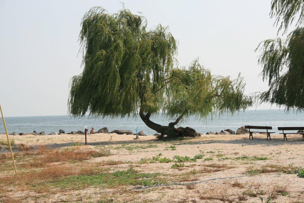 Сєдове з panoramio.com - Седово