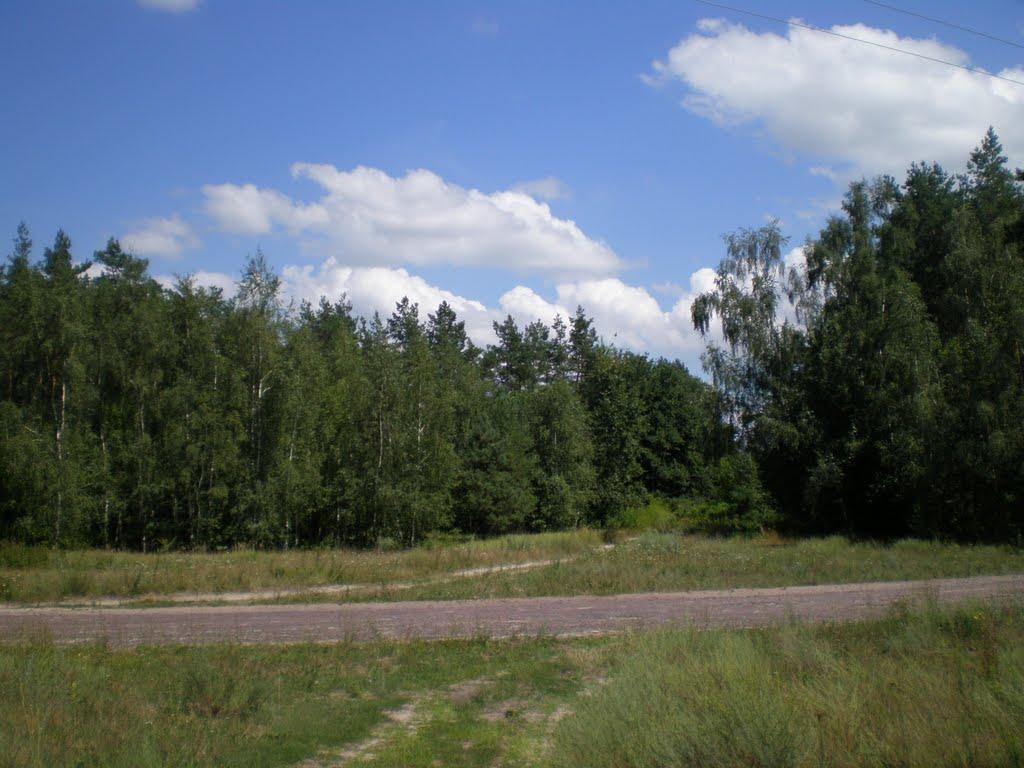 Чаплищі з panoramio.com - Chaplyschi