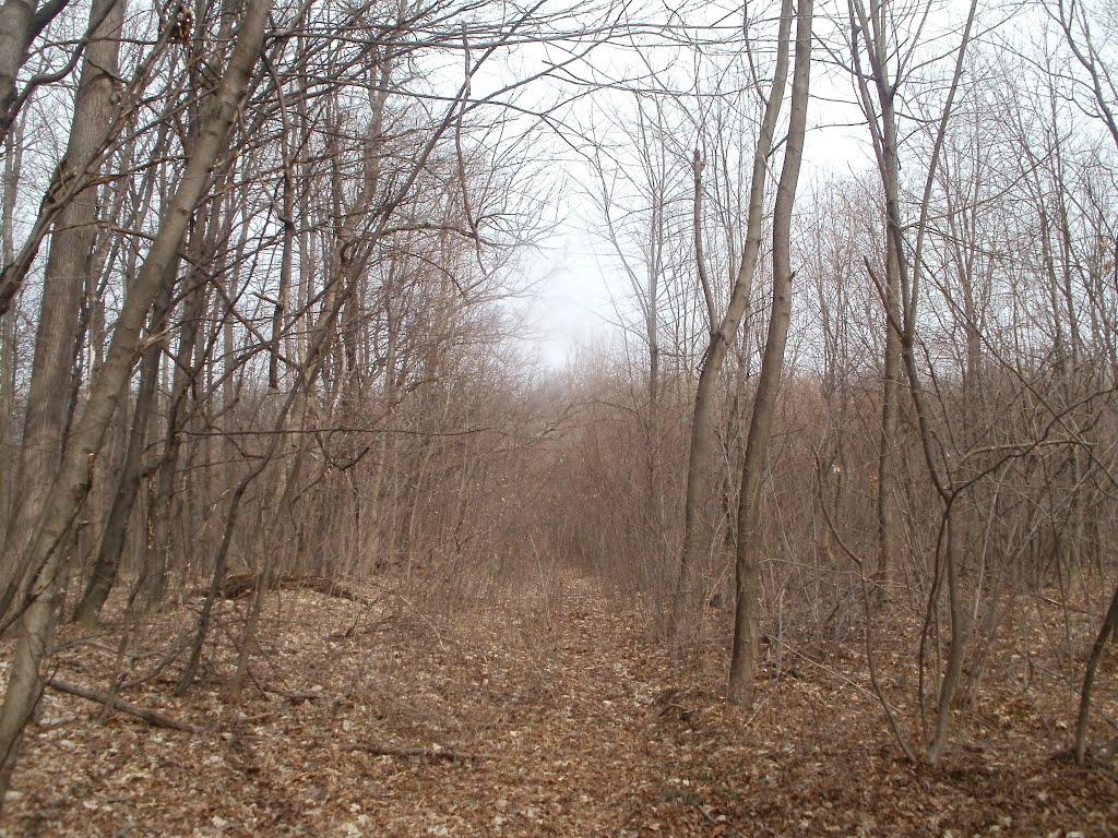 Бережне з panoramio.com - Бережное