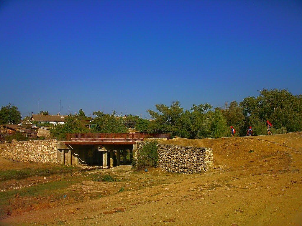 Каштани з panoramio.com - Каштани