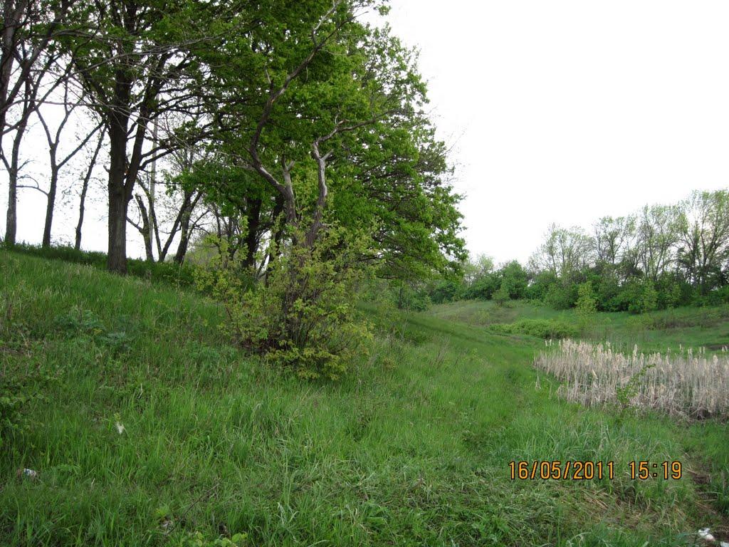 Бірюкове з panoramio.com - Бирюково