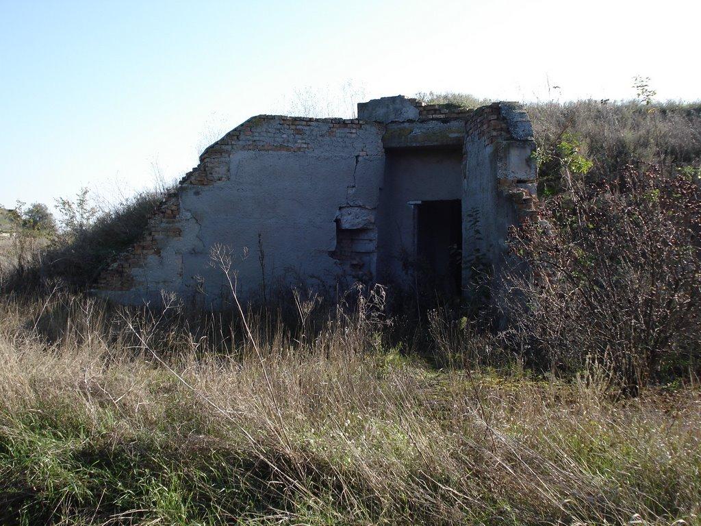 Петрівка з panoramio.com - Петровка