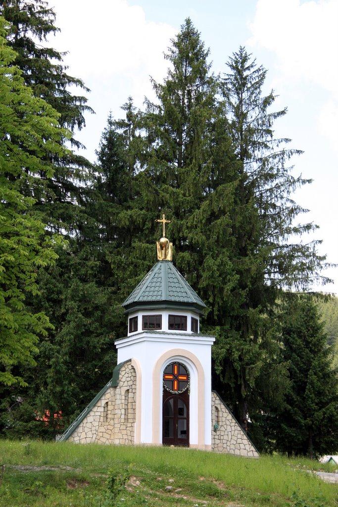 Делятин з panoramio.com - Делятин