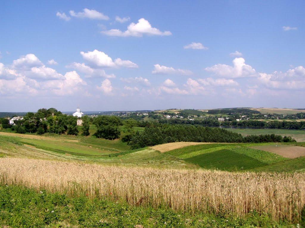 Сураж з panoramio.com - Сураж