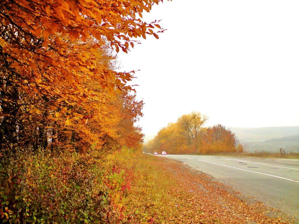 Куряни з panoramio.com - Куряны