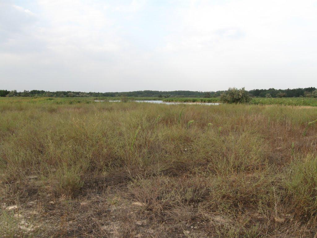 Раденськ з panoramio.com - Раденск