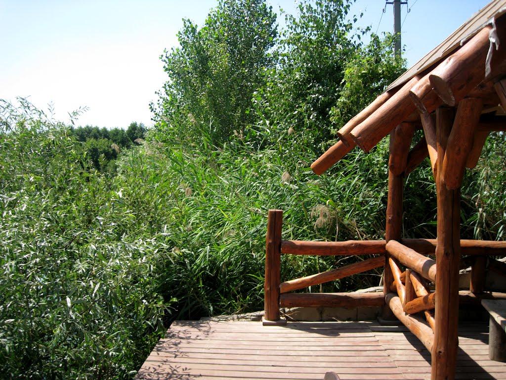 Вільхове з panoramio.com - Вільхове
